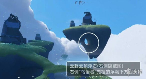 网5