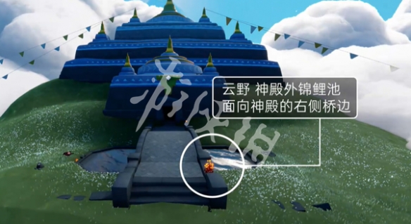 网3