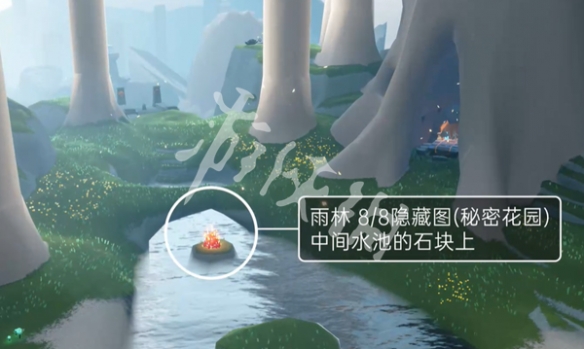 网8