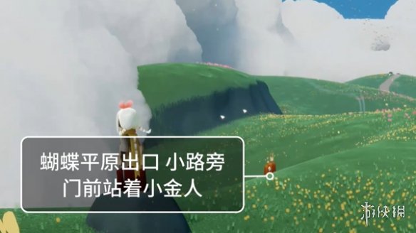 网5