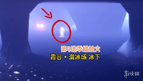 网5